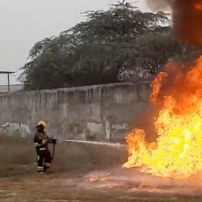 WhatsApp Image 2025-02-11 at 17.09.08